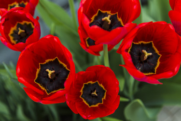 Similar image 11459342