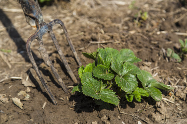 Similar image 11459344