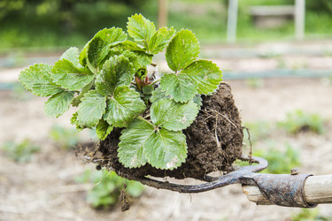 Similar image 11459345