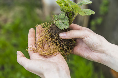 Similar image 11459268