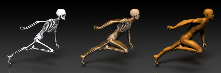 Similar image 11456532