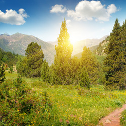 Similar image 11460342