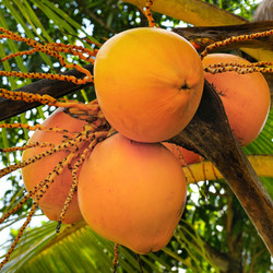 Similar image 11460352