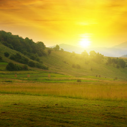 Similar image 11460353