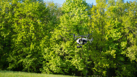 Similar image 11458946