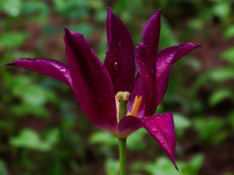 Similar image 11460438