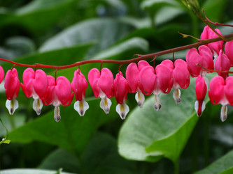 Similar image 11460440