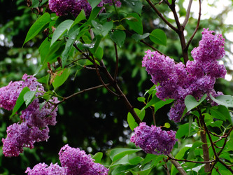 Similar image 11460443