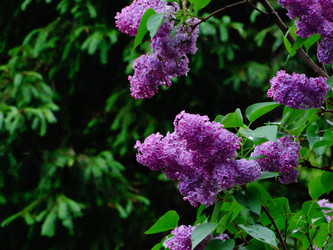 Similar image 11460445