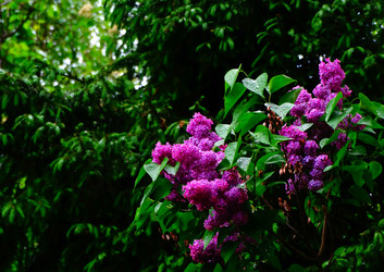 Similar image 11460462