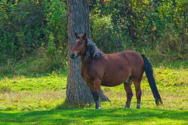 Similar image 11467119