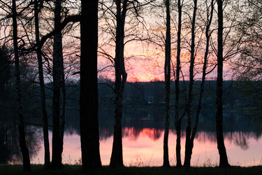 Similar image 11456295