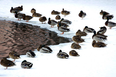 Similar image 11456379