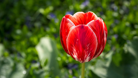 Similar image 11456329