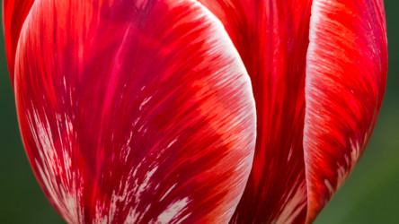 Similar image 11456330