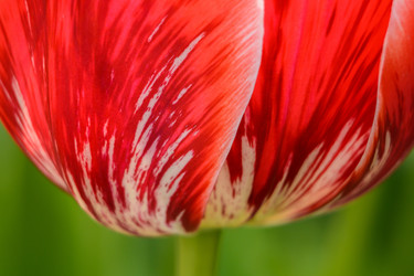 Similar image 11456332