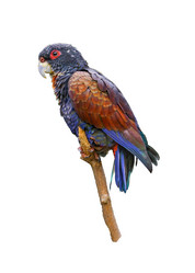 Similar image 11460375