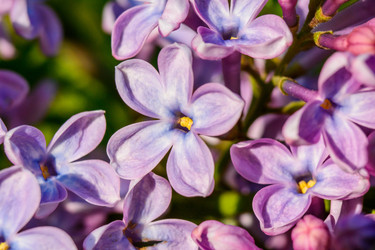 Similar image 11456335