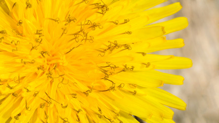 Similar image 11456336