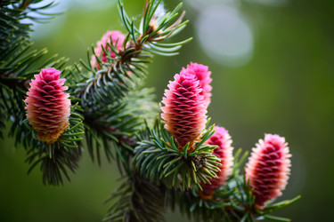 Similar image 11456337