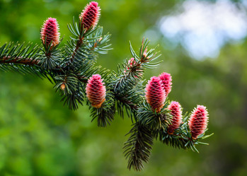 Similar image 11456338