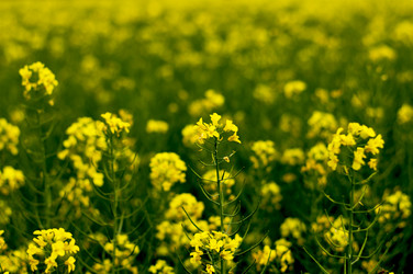 Similar image 11456258