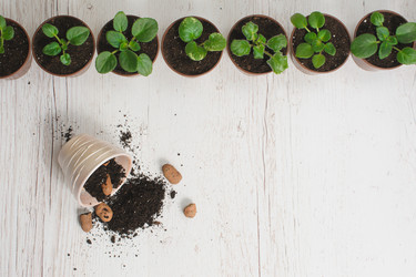 Similar image 11460321