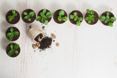 Similar image 11460322