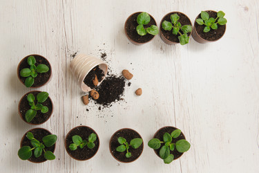 Similar image 11460324