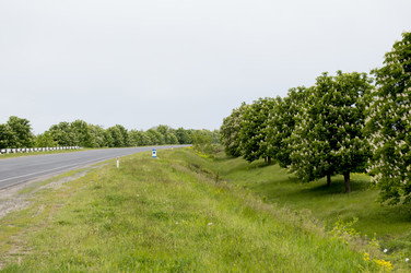 Similar image 11456298