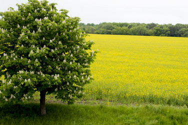 Similar image 11456299