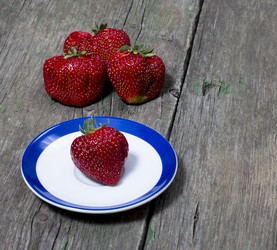 Similar image 11456300