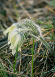 Similar image 11460726