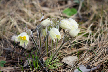 Similar image 11460747