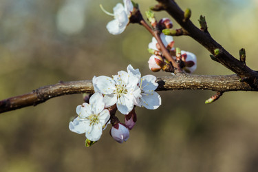 Similar image 11460748