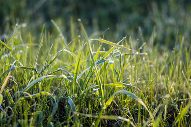 Similar image 11460750