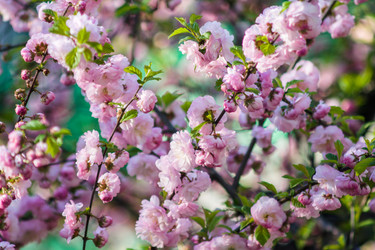 Similar image 11460756