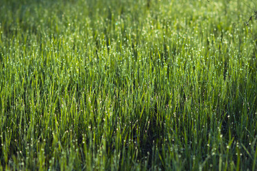 Similar image 11460757