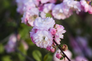 Similar image 11460758