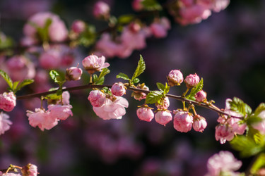 Similar image 11460760