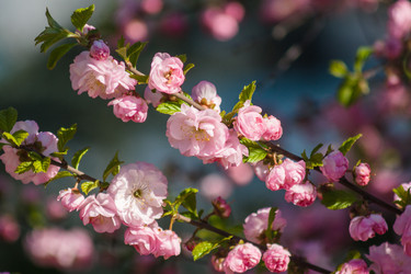 Similar image 11460761