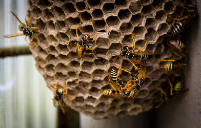 Similar image 11456241