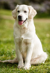 Similar image 11458625