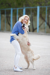 Similar image 11458764