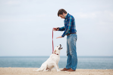 Similar image 11458371