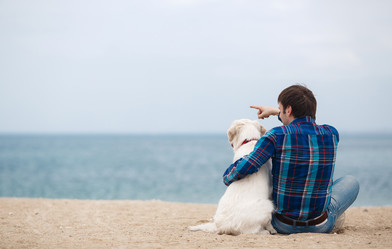 Similar image 11458390