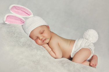 Similar image 11458500