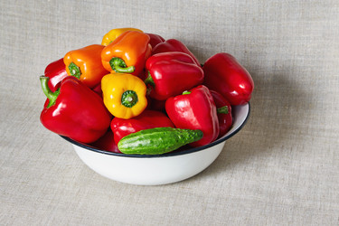 Similar image 11456261