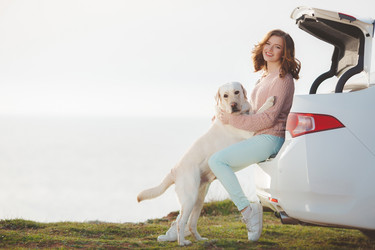 Similar image 11458632