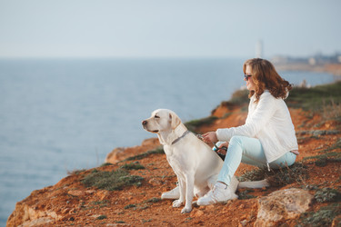 Similar image 11458648